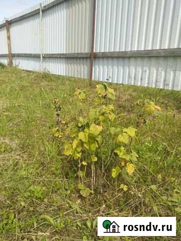 Участок ИЖС 25 сот. на продажу в Боровске Боровск - изображение 1