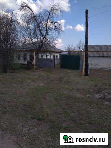 Дом 50 м² на участке 29 сот. на продажу в Петропавловке Воронежской области Петропавловка - изображение 1