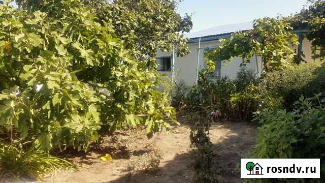 Дом 50.8 м² на участке 5 сот. на продажу в Феодосии Феодосия - изображение 1