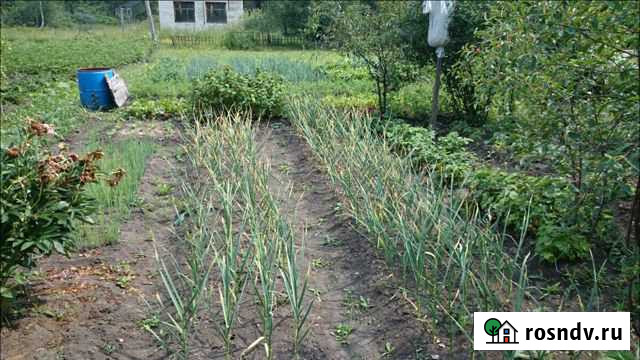 Дача 50 м² на участке 10 сот. на продажу в Каменске-Уральском Каменск-Уральский - изображение 1