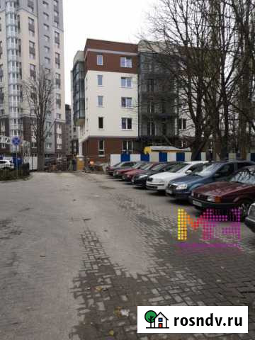 Офисное помещение, 300 кв.м. Калининград - изображение 1