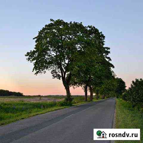 Участок промназначения 300 сот. на продажу в Калининграде Калининград