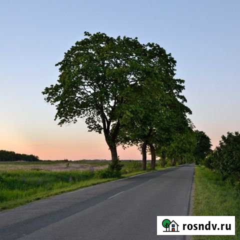 Участок промназначения 300 сот. на продажу в Калининграде Калининград - изображение 1