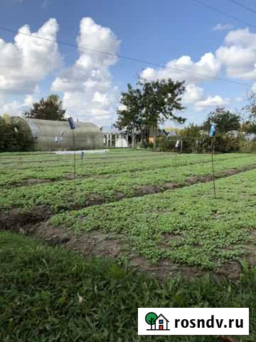 Дача 20 м² на участке 7 сот. на продажу в Шарье Шарья - изображение 1