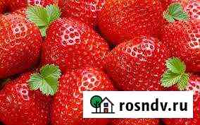 Участок СНТ, ДНП 8 сот. на продажу в Лисках Лиски