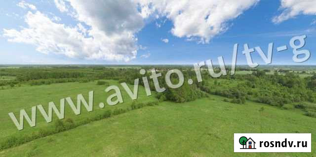 Участок СНТ, ДНП 100 сот. на продажу в Зубцове Зубцов - изображение 1