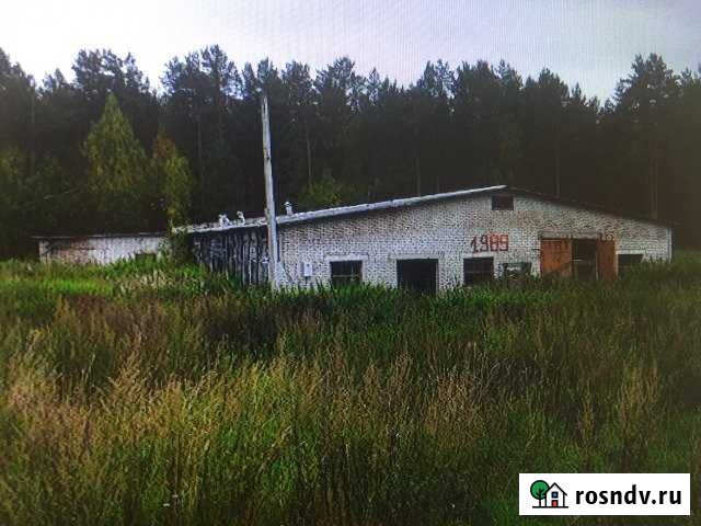 Ферма - животноводческий комплекс Череповец - изображение 1