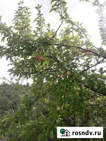 Дача 20 м² на участке 13 сот. на продажу в Кинеле Кинель - изображение 1