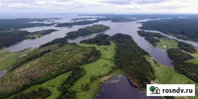 Участок СНТ, ДНП 4242 сот. на продажу в Лахденпохье Лахденпохья - изображение 1