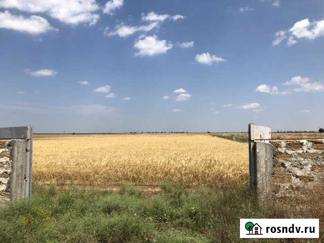 Свиноферма 850 кв.м. земельный участок 2 га Евпатория - изображение 1