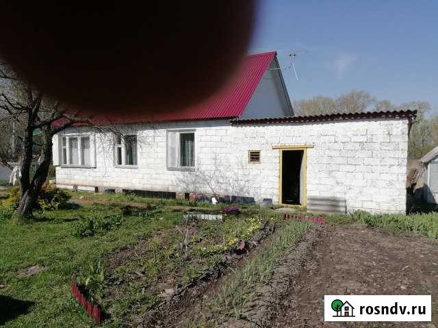 Дом 52 м² на участке 20 сот. на продажу в Новогуровском Новогуровский - изображение 1