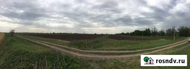 Участок СНТ, ДНП 11819 сот. на продажу в Началово Началово - изображение 1