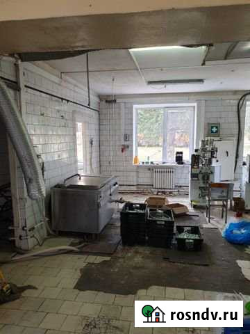 Производственное помещение, 400 кв.м. Балабаново - изображение 1