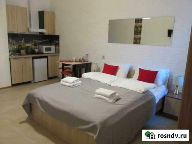 Квартира-студия, 22 м², 1/21 эт. в аренду посуточно в Щербинке Щербинка - изображение 1