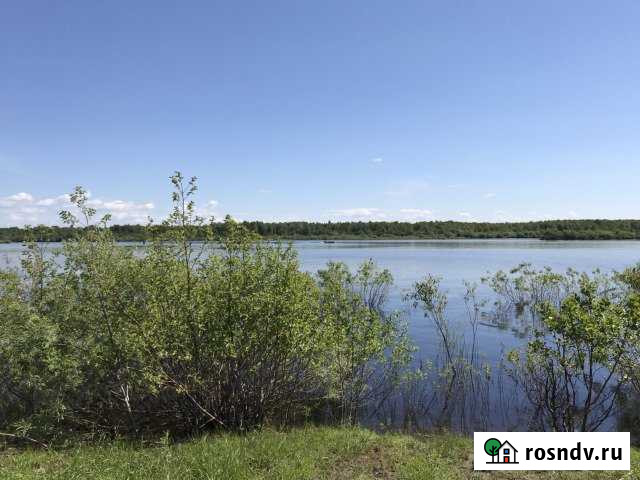 Участок СНТ, ДНП 18 сот. на продажу в Устье Вологодской области Устье - изображение 1