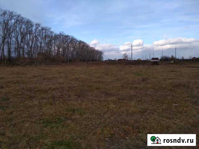 Участок ИЖС 20 сот. на продажу в Белоярском Свердловской области Белоярский - изображение 1