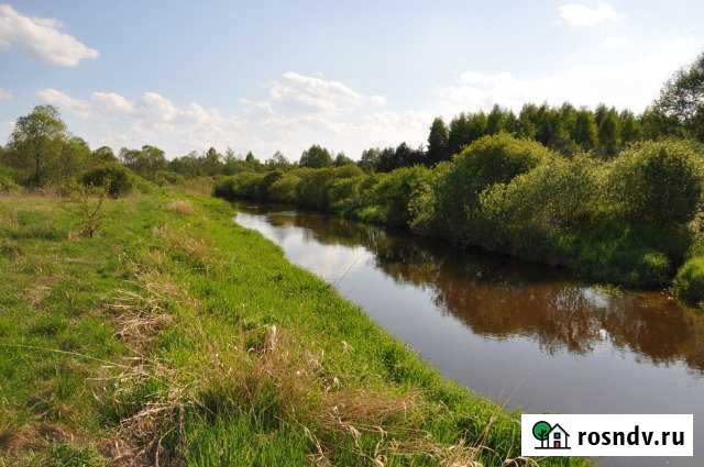 Участок СНТ, ДНП 300 сот. на продажу в Пскове Псков - изображение 1