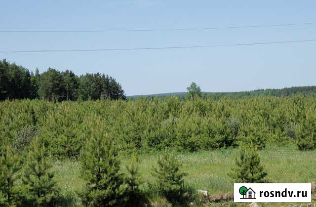 Участок ИЖС 13 сот. на продажу в Сысерти Сысерть - изображение 1