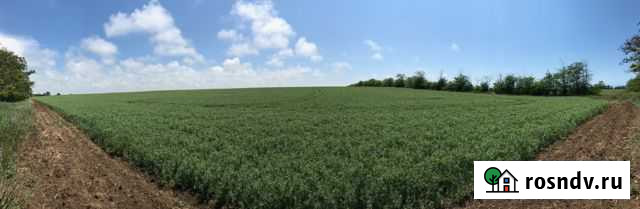 Участок СНТ, ДНП 322 сот. на продажу в Саках Саки - изображение 1