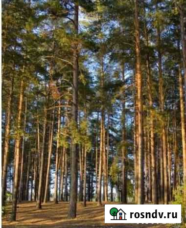 Участок СНТ, ДНП 8100 сот. на продажу в Спасск-Рязанском Спасск-Рязанский - изображение 1