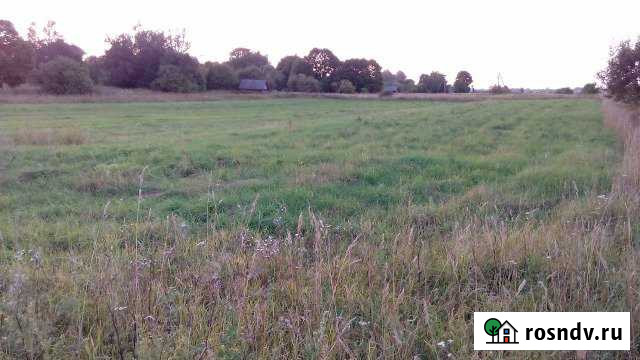 Участок ИЖС 90 сот. на продажу на Острове Остров - изображение 1