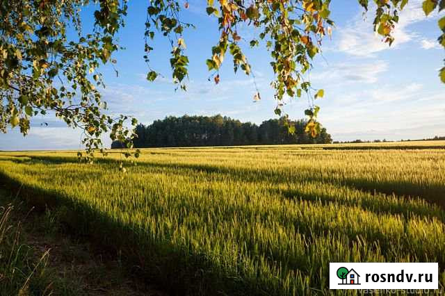 Участок ИЖС 5 сот. на продажу в Высокой Горе Высокая Гора - изображение 1