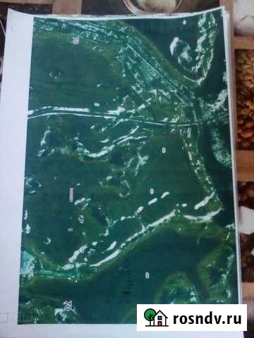 Участок СНТ, ДНП 2600 сот. на продажу в Зырянском Зырянское - изображение 1