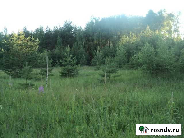 Участок ИЖС 10 сот. на продажу в Ильинско-Хованском Ильинско-Хованское - изображение 1