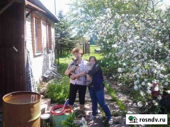 Дом 65 м² на участке 25 сот. на продажу в Борисоглебском Борисоглебский