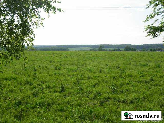 Участок ИЖС 40 сот. на продажу в Кудиново Кудиново - изображение 1