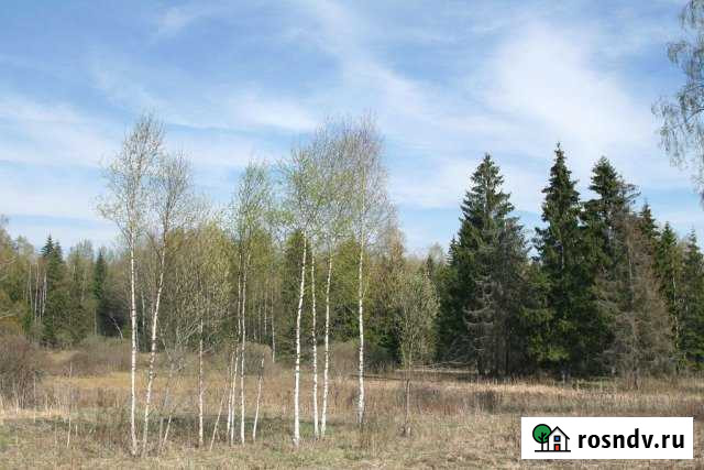 Участок ИЖС 15 сот. на продажу в Березниках Березники - изображение 1