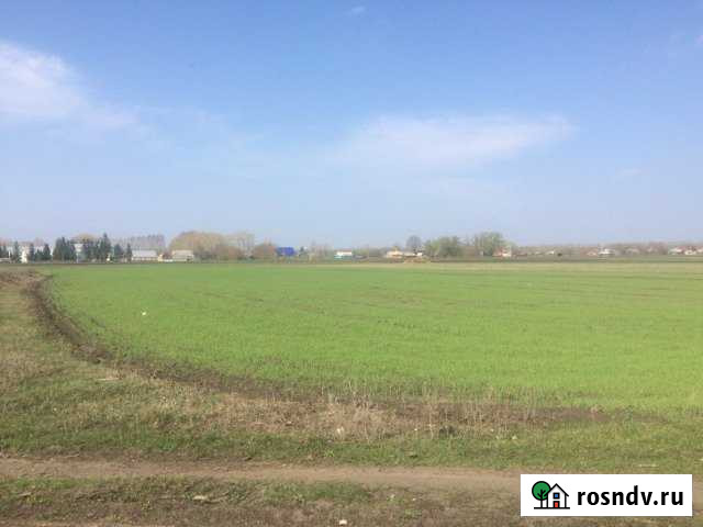 Участок ИЖС 30 сот. на продажу в Рассказово Рассказово - изображение 1