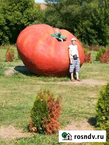 Участок СНТ, ДНП 40 сот. на продажу в Гремячьем Гремячье - изображение 1