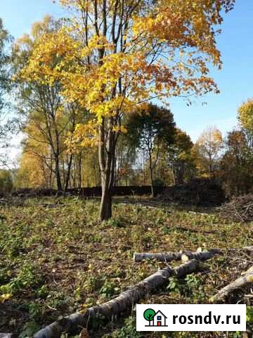 Участок СНТ, ДНП 15 сот. на продажу в Смоленске Смоленск - изображение 1