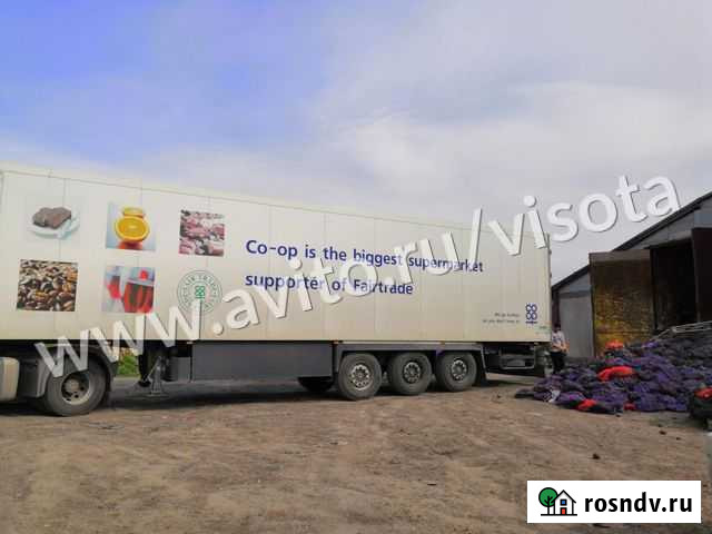 Складское помещение, 1750 кв.м. Толмачево - изображение 1