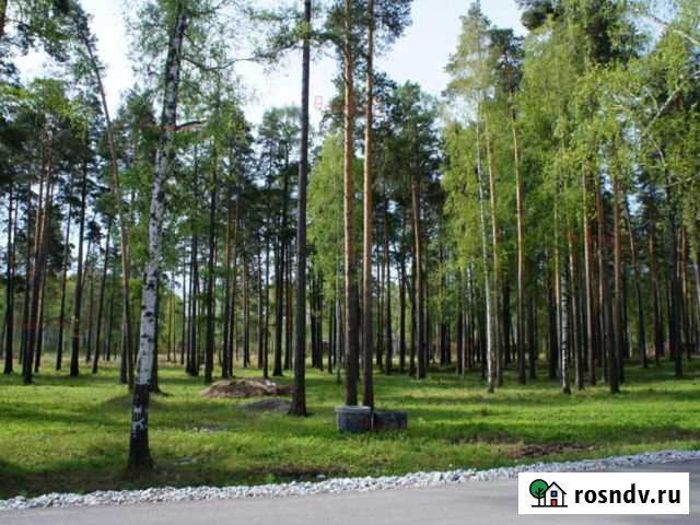 Участок СНТ, ДНП 90 сот. на продажу в Верхней Пышме Верхняя Пышма - изображение 1