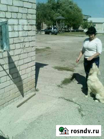 Машиноместо на продажу в Крымске Крымск - изображение 1