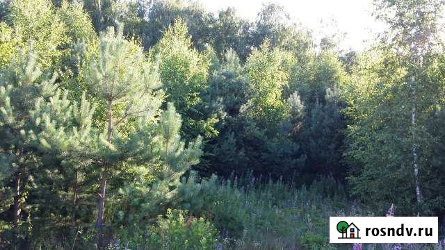 Участок СНТ, ДНП 10 сот. на продажу в Киржаче Киржач - изображение 1