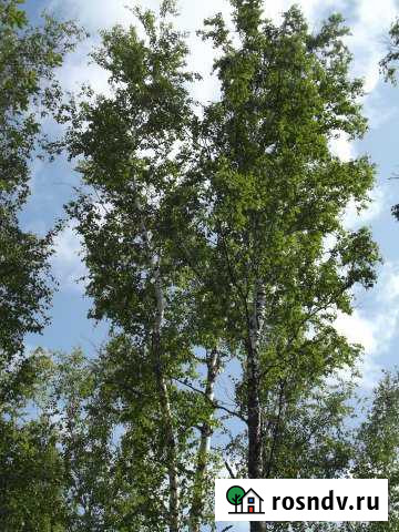 Участок СНТ, ДНП 10 сот. на продажу в Томске Томск - изображение 1