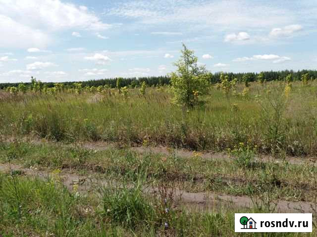 Участок промназначения 100 сот. на продажу в Новой Усмани Новая Усмань - изображение 1