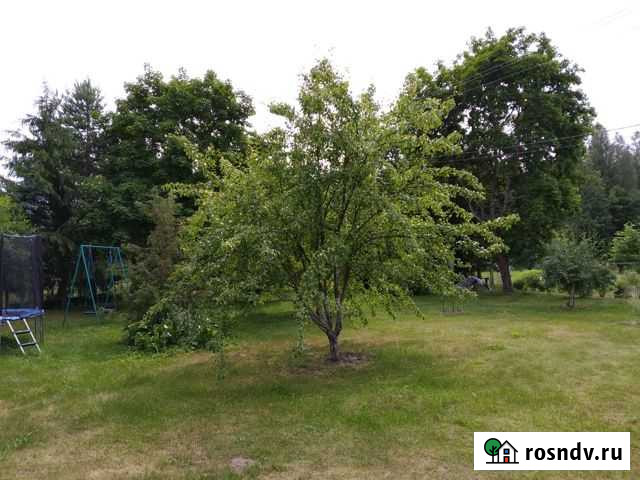 Дача 48 м² на участке 25 сот. на продажу в Сиверском Сиверский - изображение 1