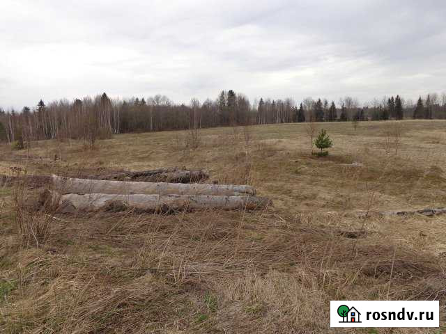 Участок ИЖС 30 сот. на продажу в Вязьме Вязьма - изображение 1