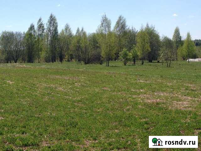 Участок ИЖС 25 сот. на продажу в Балакирево Балакирево - изображение 1