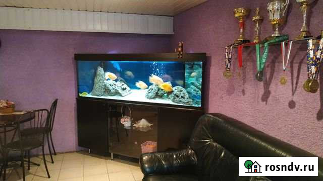 Помещение свободного назначения, 171 кв.м. Всеволожск - изображение 1