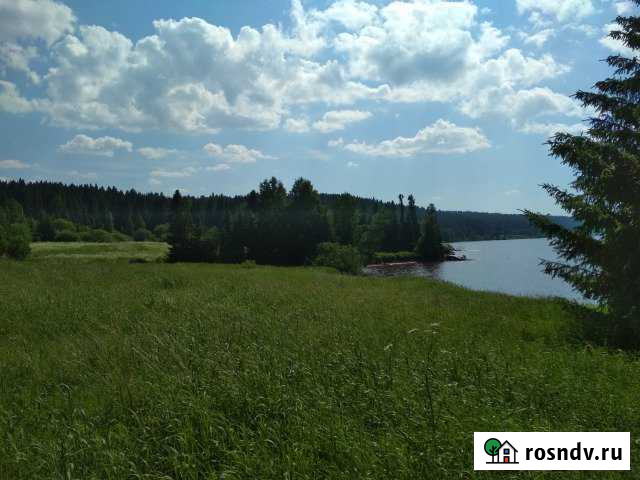 Участок СНТ, ДНП 200 сот. на продажу в Ильинском Пермского края Ильинский - изображение 1