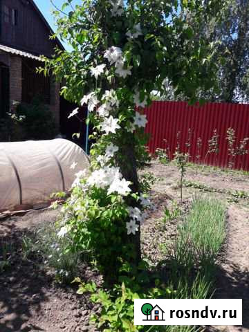 Дом 37 м² на участке 3 сот. на продажу в Липках Липки - изображение 1