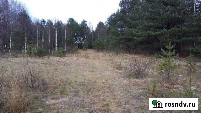 Участок СНТ, ДНП 11 сот. на продажу в Кондопоге Кондопога - изображение 1