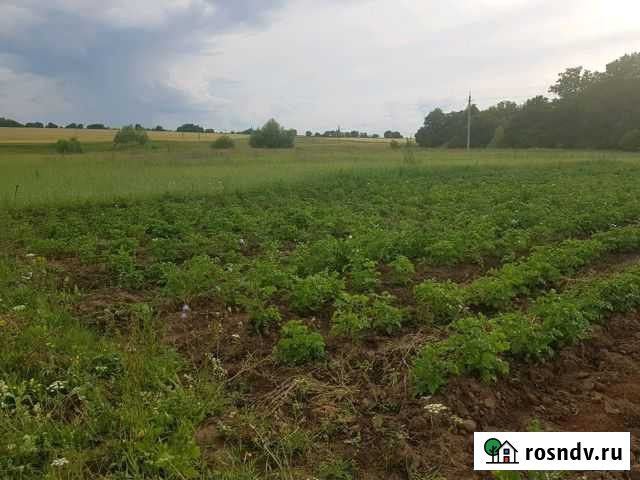 Участок ИЖС 50 сот. на продажу в Цивильске Цивильск - изображение 1