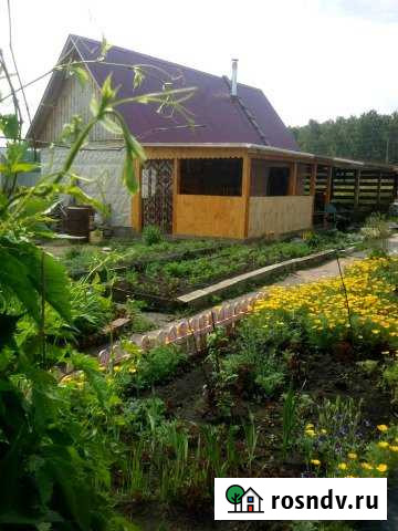 Дача 20 м² на участке 30 сот. на продажу в Щелкуне Щелкун - изображение 1