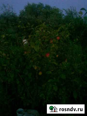 Участок СНТ, ДНП 5 сот. на продажу в Городце Городец - изображение 1